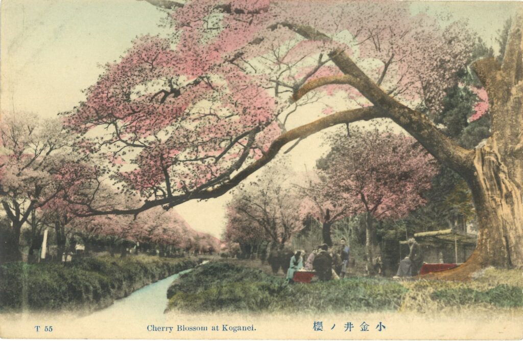 image_spring26_koganei